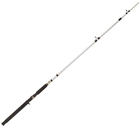 zebco authentic series casting rod